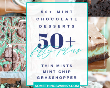 50+ of the BEST Chocolate Mint Dessert Recipes