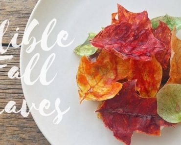Fall Leaves Dessert: Food Plating and Design