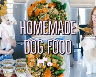 HOMEMADE + HEALTHY DOG FOOD RECIPE