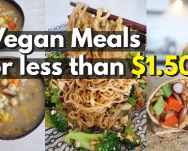 BUDGET Vegan Meals For UNDER $1