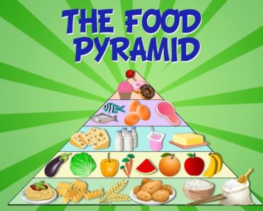 THE FOOD PYRAMID