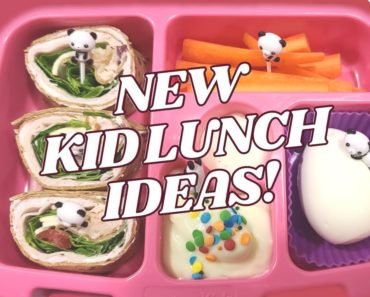New KID LUNCHES!!- Fun lunch ideas for kids
