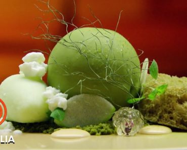 Reynold Poernomo’s Amazing Moss Dessert – MasterChef Australia