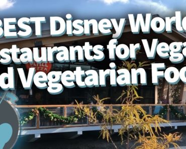 BEST Disney World Restaurants for Vegan and Vegetarian Food!