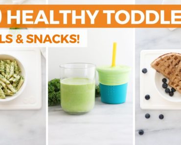 10 Easy, Healthy Toddler Meal & Snack Ideas! Gluten-Free &