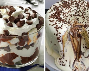 Indulgent and Delicious Chocolate Cake Recipes