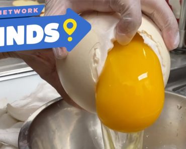 MASSIVE Ostrich Egg Breakfast Food Network Finds