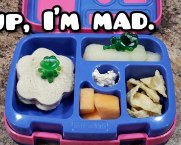 Someone hit Bella – Packing Bento Styled Lunches