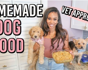 VET APPROVED HOMEMADE + HEALTHY DOG FOOD RECIPE