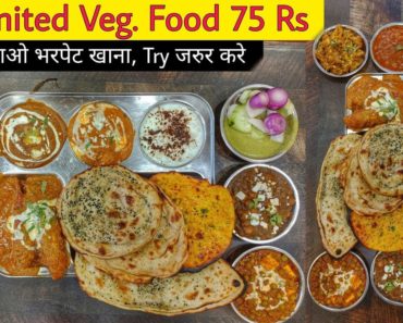 UNLIMITED Veg Food 75 Rs || Delhi Street Food