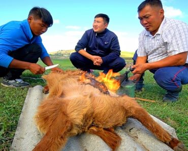 Mongolian BBQ “Boodog”