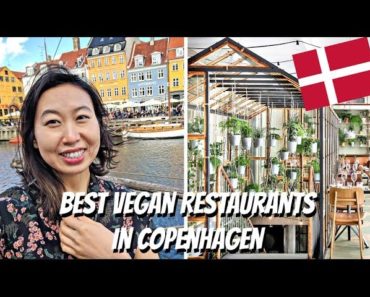 VEGAN RESTAURANT GUIDE TO COPENHAGEN!! (DENMARK FOOD VLOG)