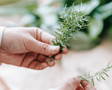 13 Ways To Substitute for Rosemary In A Pinch