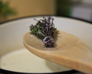 A Substitute For Thyme That Will Excite Your Taste Buds