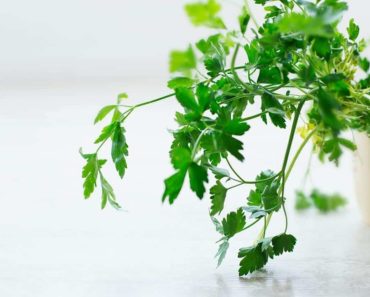 What’s The Best Substitute For Parsley? We’ve Got The Answer